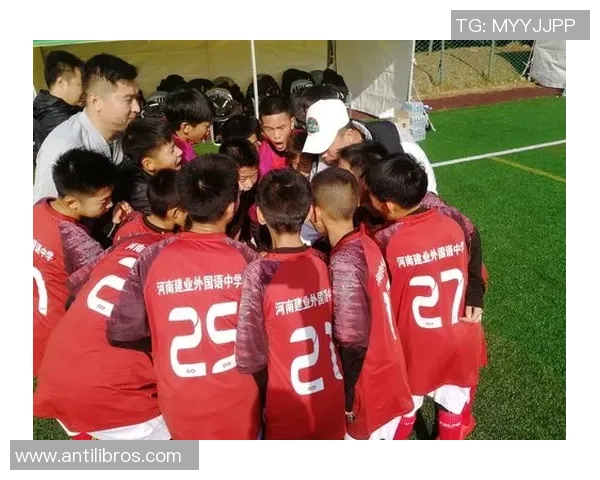 深圳足球队的拼搏之路精英赛背后的故事与梦想