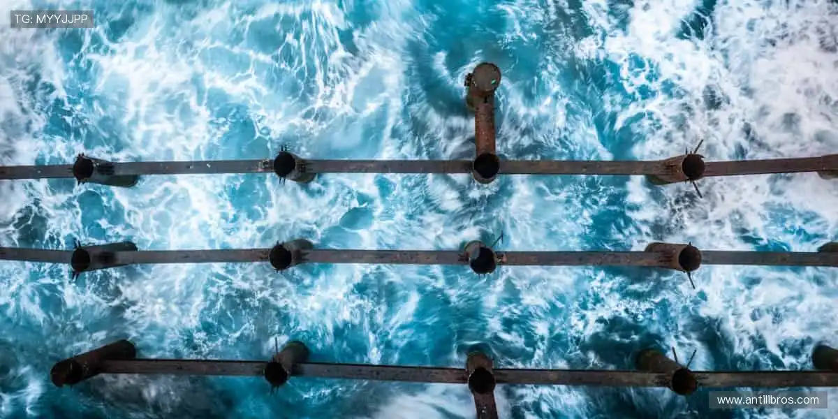 📺 高清直播，实时互动！不错过每一个心跳瞬间！